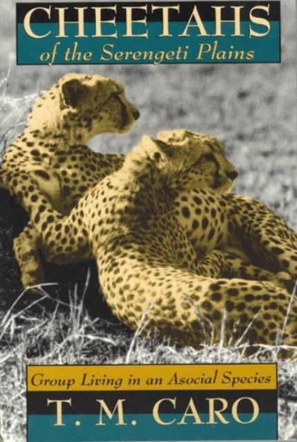 Book cover of: Cheetahs of the Serengeti Plains