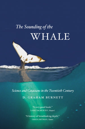 Sounding of the Whale