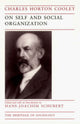 Book cover of: On Self and Social Organization
