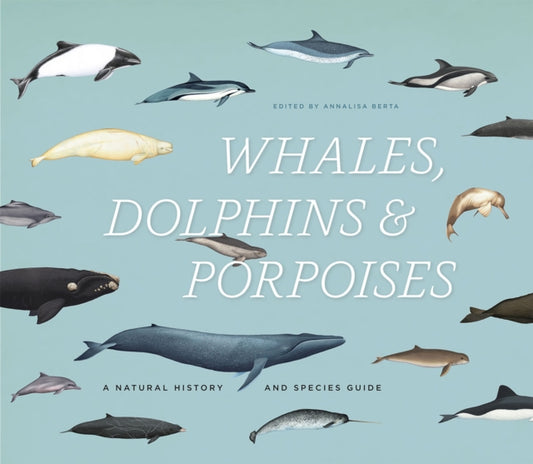 Book cover of: Whales, Dolphins & Porpoises. By: Annalisa Berta