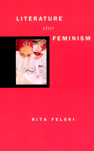 Book cover of: Literature after Feminism
