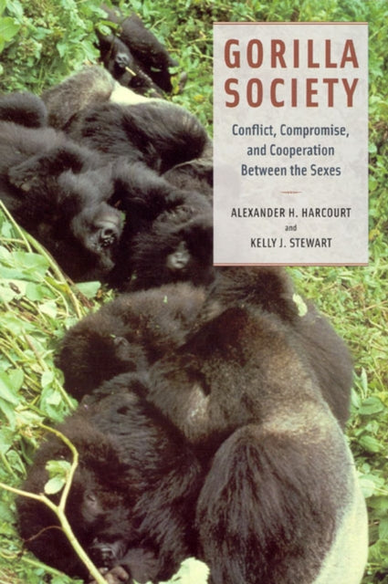 Book cover of: Gorilla Society. By: A. H. Harcourt, Alexander H. Harcourt