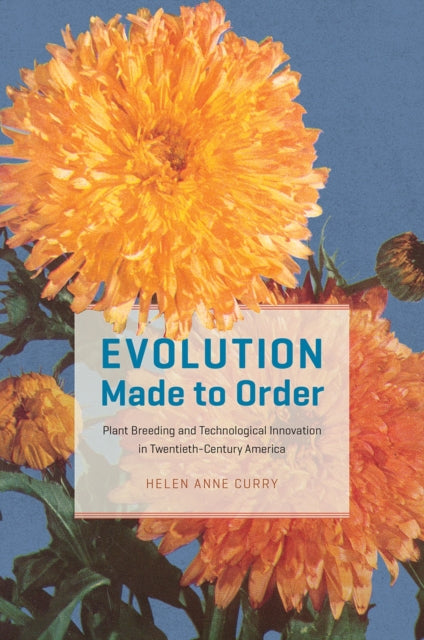 Book cover of: Evolution Made to Order. By: Helen Anne Curry