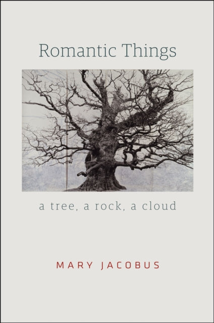 Book cover of: Romantic Things. By: Mary Jacobus