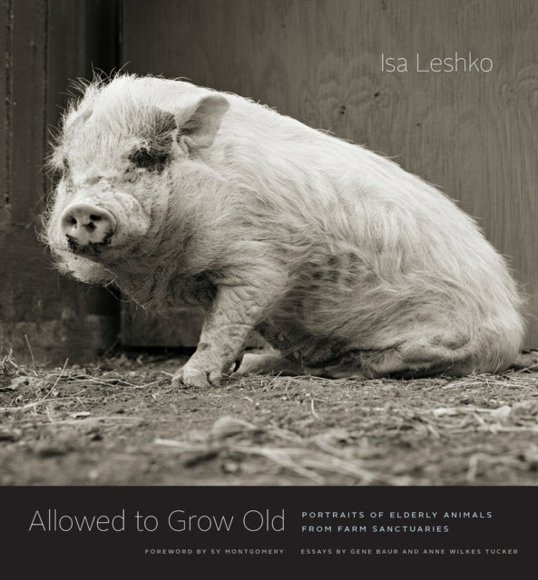 Book cover of: Allowed to Grow Old