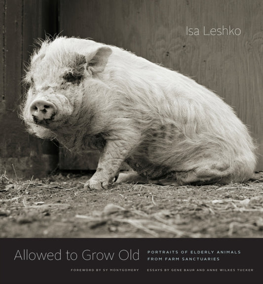 Book cover of: Allowed to Grow Old