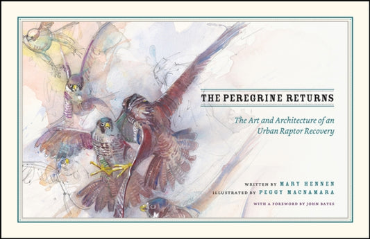 Book cover of: Peregrine Returns. By: Mary Hennen
