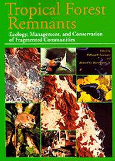 Book cover of: Tropical Forest Remnants