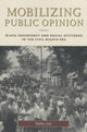 Book cover of: Mobilizing Public Opinion