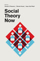 Book cover of: Social Theory Now