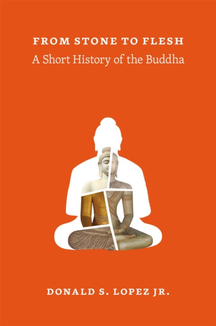 Book cover of: From Stone to Flesh. By: Lopez, Donald S. Jr