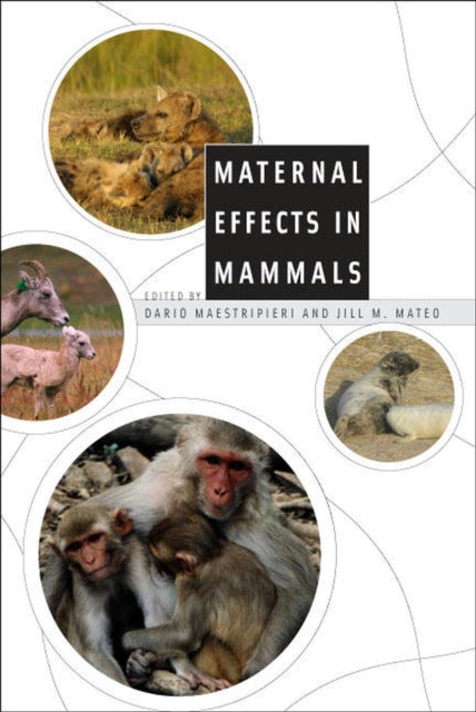 Book cover of: Maternal Effects in Mammals