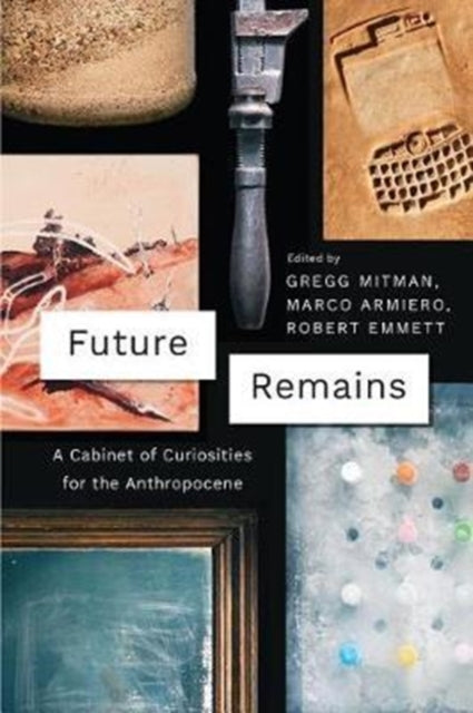 Book cover of: Future Remains