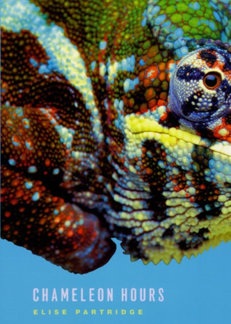 Book cover of: Chameleon Hours. By: Elise Partridge