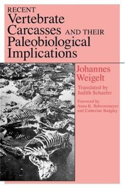 Book cover of: Recent Vertebrate Carcasses and Their Paleobiological Implications