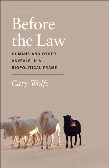 Book cover of: Before the Law. By: Cary Wolfe