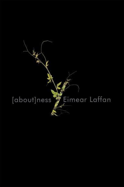 Book cover of: Aboutness. By: Eimear Laffan