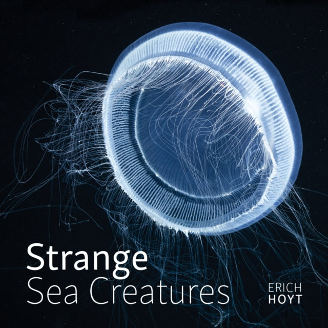 Book cover of: Strange Sea Creatures. By: Erich Hoyt