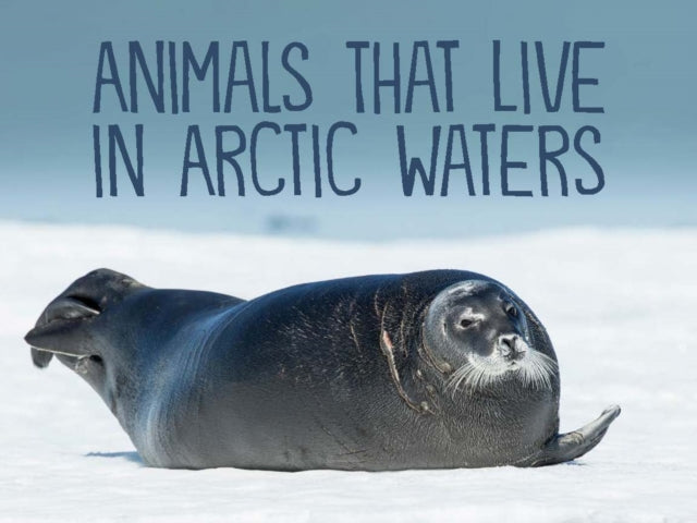 Book cover of: Animals That Live in Arctic Waters. By: Inhabit Education