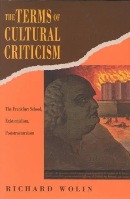 Book cover of: Terms of Cultural Criticism. By: Richard Wolin