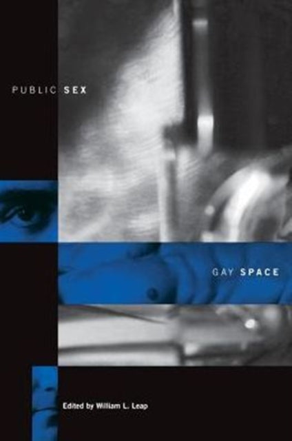 Book cover of: Public Sex/Gay Space