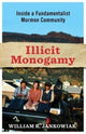 Book cover of: Illicit Monogamy. By: William R. Jankowiak