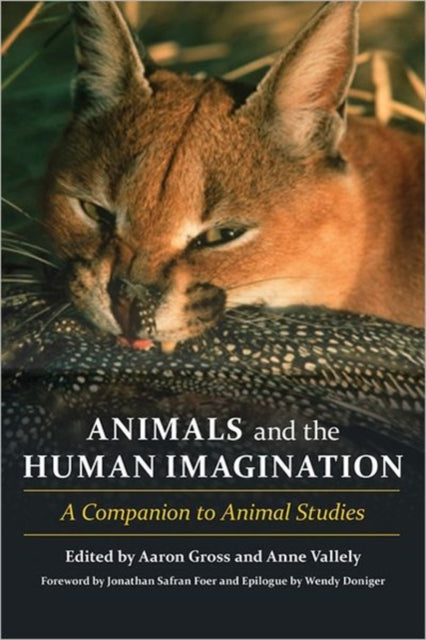 Book cover of: Animals and the Human Imagination. By: Aaron Gross