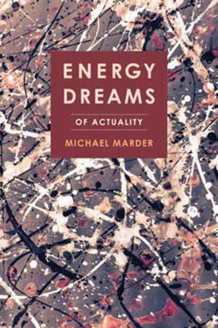 Book cover of: Energy Dreams. By: Michael Marder
