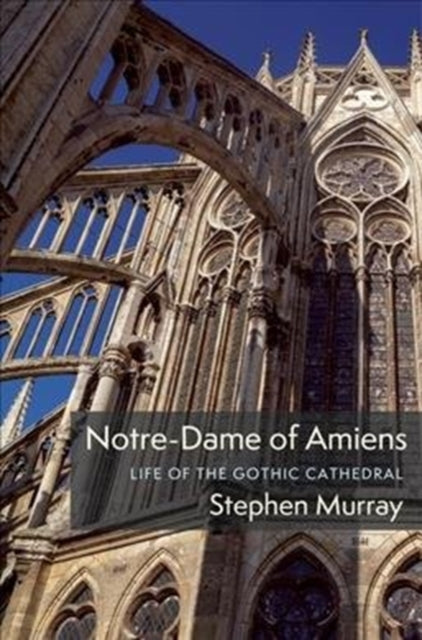 Book cover of: Notre-Dame of Amiens. By: Stephen Murray