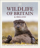 Book cover of: Wildlife of Britain and Ireland. By: DK Publishing