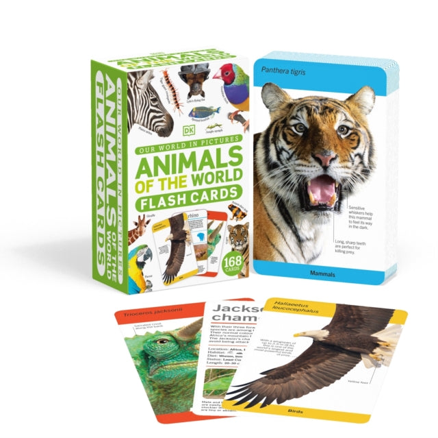 Book cover of: Our World in Pictures Animals of the World Flash Cards