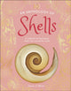 Anthology of Shells, A Collection of Fascinating Shells from Around the World 9780241725252 DK Publishing