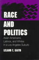 Book cover of: Race and Politics