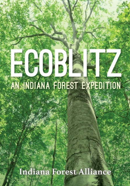 Ecoblitz