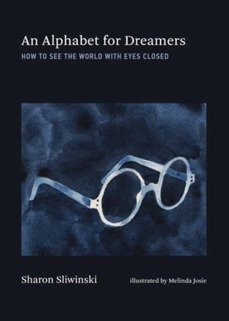 Alphabet for Dreamers, An, How to See the World with Eyes Closed 9780262049795 Sharon Sliwinski