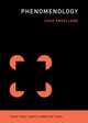 Book cover of: Phenomenology. By: Chad Engelland