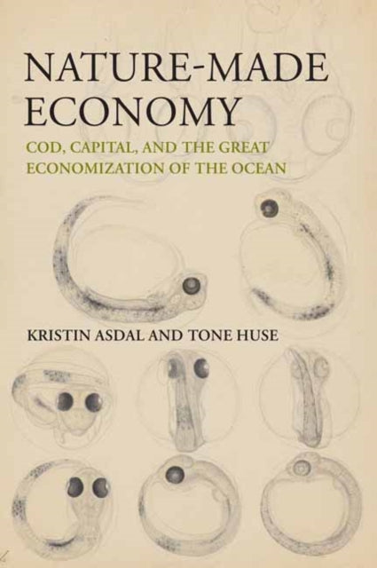 Book cover of: Nature-Made Economy. By: Kristin Asdal
