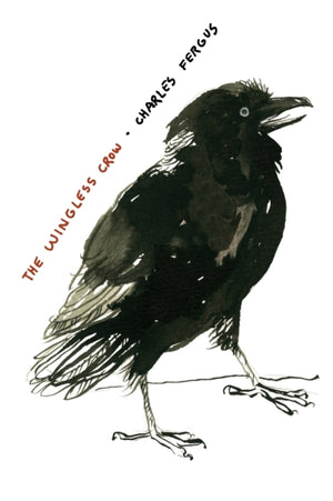 Wingless Crow