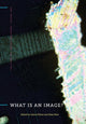Book cover of: What Is an Image?