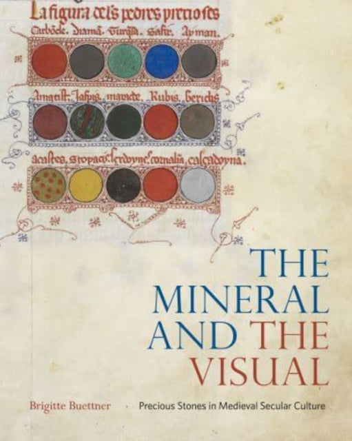 Book cover of: Mineral and the Visual. By: Brigitte Buettner