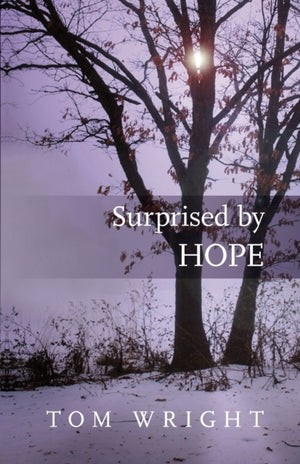 Surprised by Hope, Rethinking heaven, the resurrection and the mission of the Church