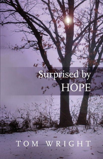 Surprised by Hope, Rethinking heaven, the resurrection and the mission of the Church