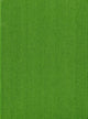 Book cover of: Volume 3Vascular Plants of the Pacific Northwest. By: Leo C. Hitchcock