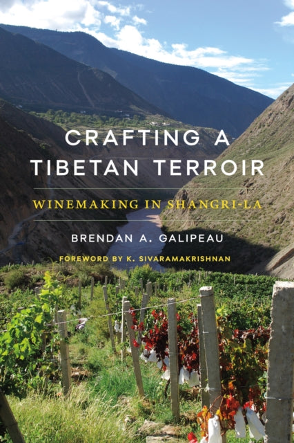 Book cover of: Crafting a Tibetan Terroir. By: Brendan A. Galipeau