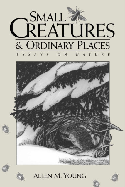 Small Creatures and Ordinary Places