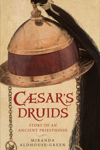 Book cover of: Caesar's Druids. By: Miranda J. Aldhouse-Green