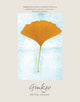 Book cover of: Ginkgo. By: Peter Crane