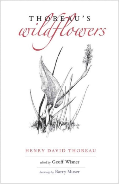 Book cover of: Thoreau's Wildflowers. By: Henry David Thoreau
