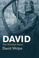 Book cover of: David. By: David Wolpe