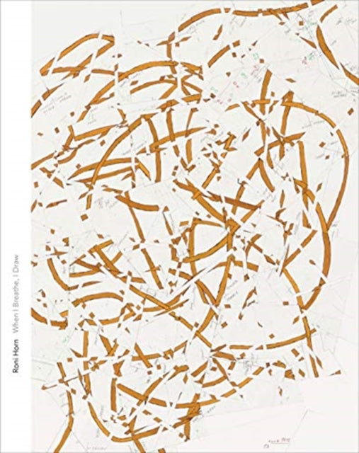 Book cover of: Roni Horn. By: Michelle White